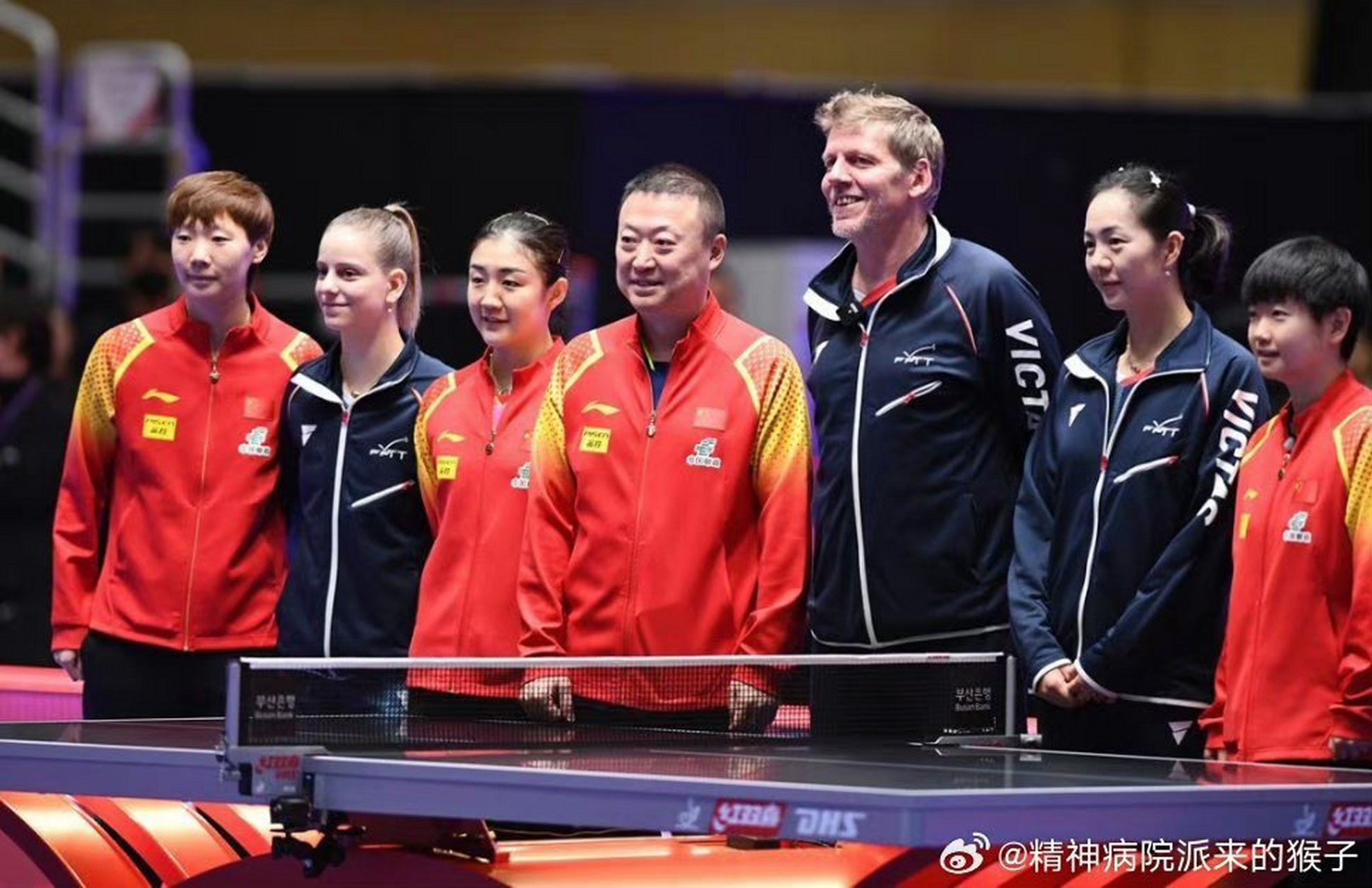 法国队完胜中国队,马琳统治全场 法国队完胜中国队,马琳统治全场