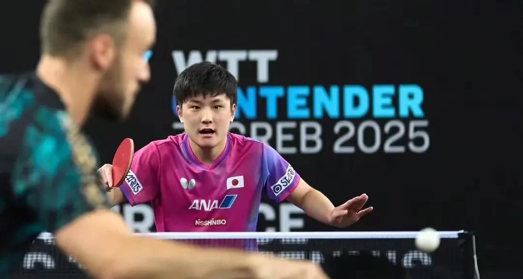 奥地利队碾压韩国队，张本智和高光表现