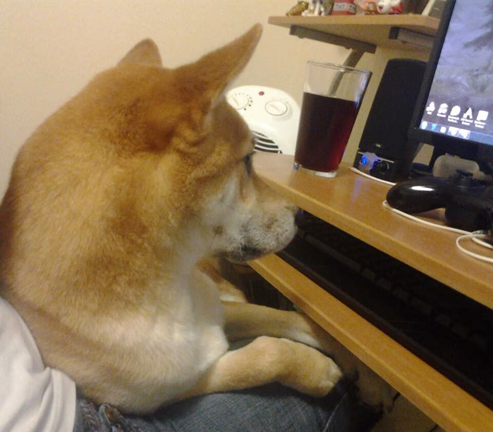 绿茵审判官，阿什拉夫双响炮，几内亚提前终结沙特悬念