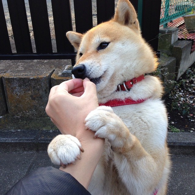 开云体育中国-意志的较量，从德甲天王山到CBA逆转夜