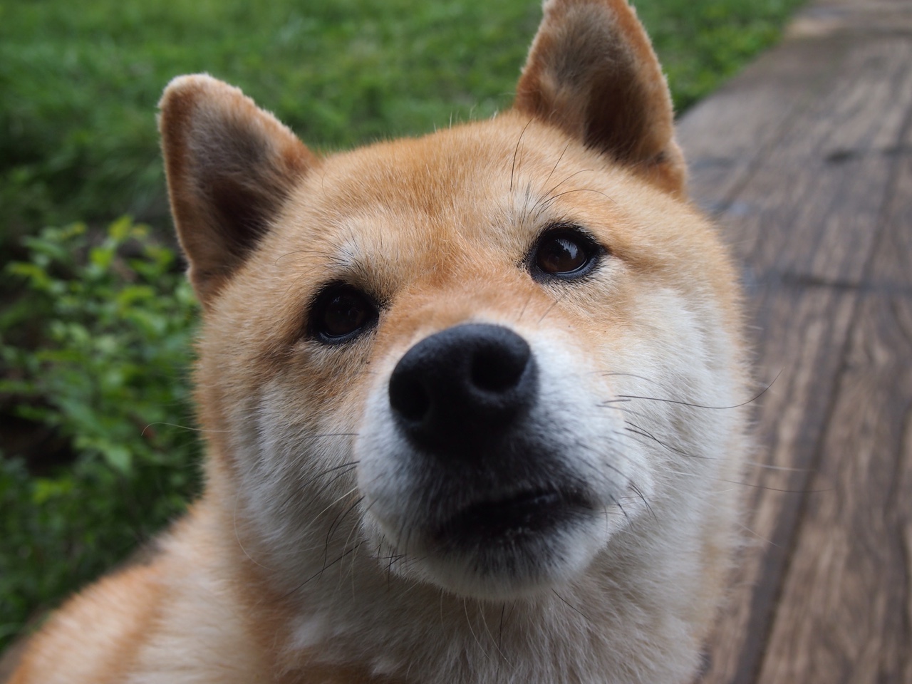 开云sport-孤月照雪，意甲焦点战夜，范弗利特一球定乾坤