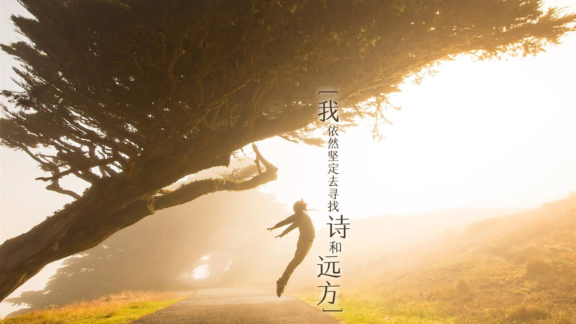 欧冠淘汰赛之夜，福登的压制级发挥，定义中场统治力