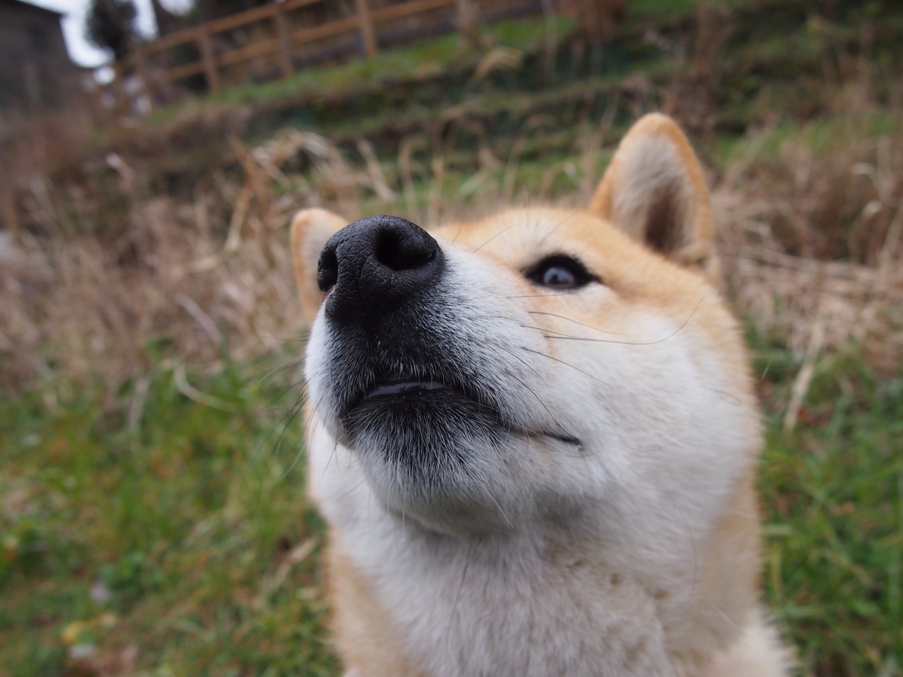 开云体育中国-詹姆斯狂飙40分力压群雄！广厦队与森林狼的跨联盟巅峰之战