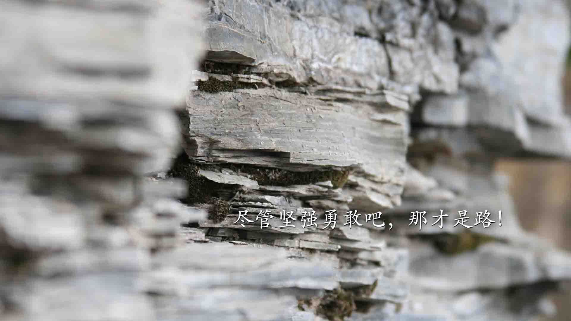 引擎与利刃，两座孤岛的制胜法则