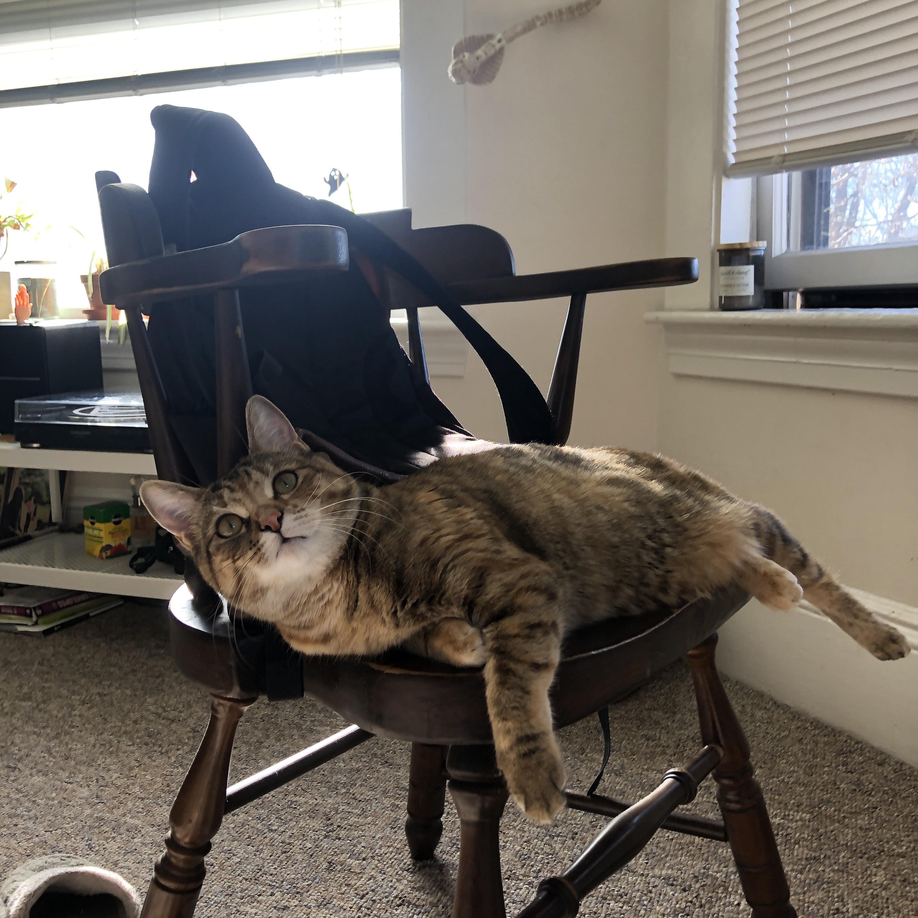 冰封火焰，曼城如何用希腊盾牌，锁死马丁内利的巴西利刃