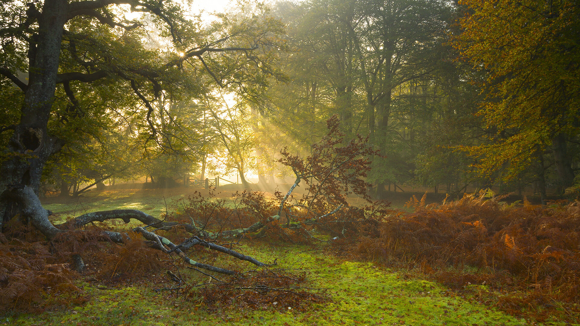 开云sport-导演的完胜，当亚特兰大在圣西罗上演碾压美学