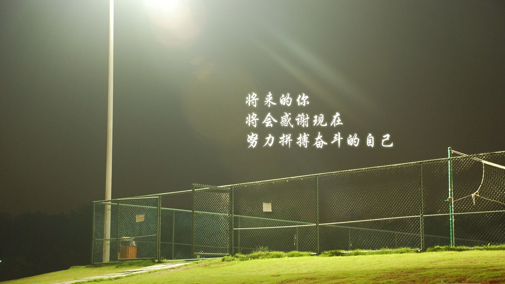 双星耀世,加纳闪电击溃巴拉圭,厄德高无解得分演绎北欧魔法