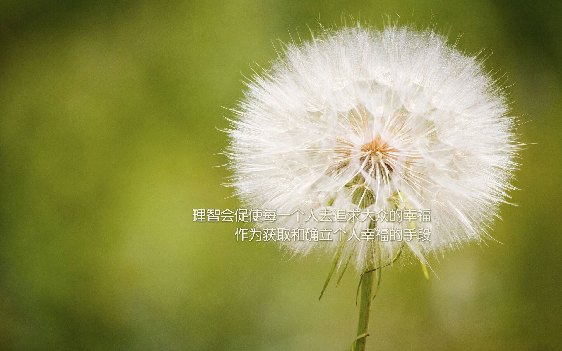 开云体育登录-（提供三个选项，供您选择）