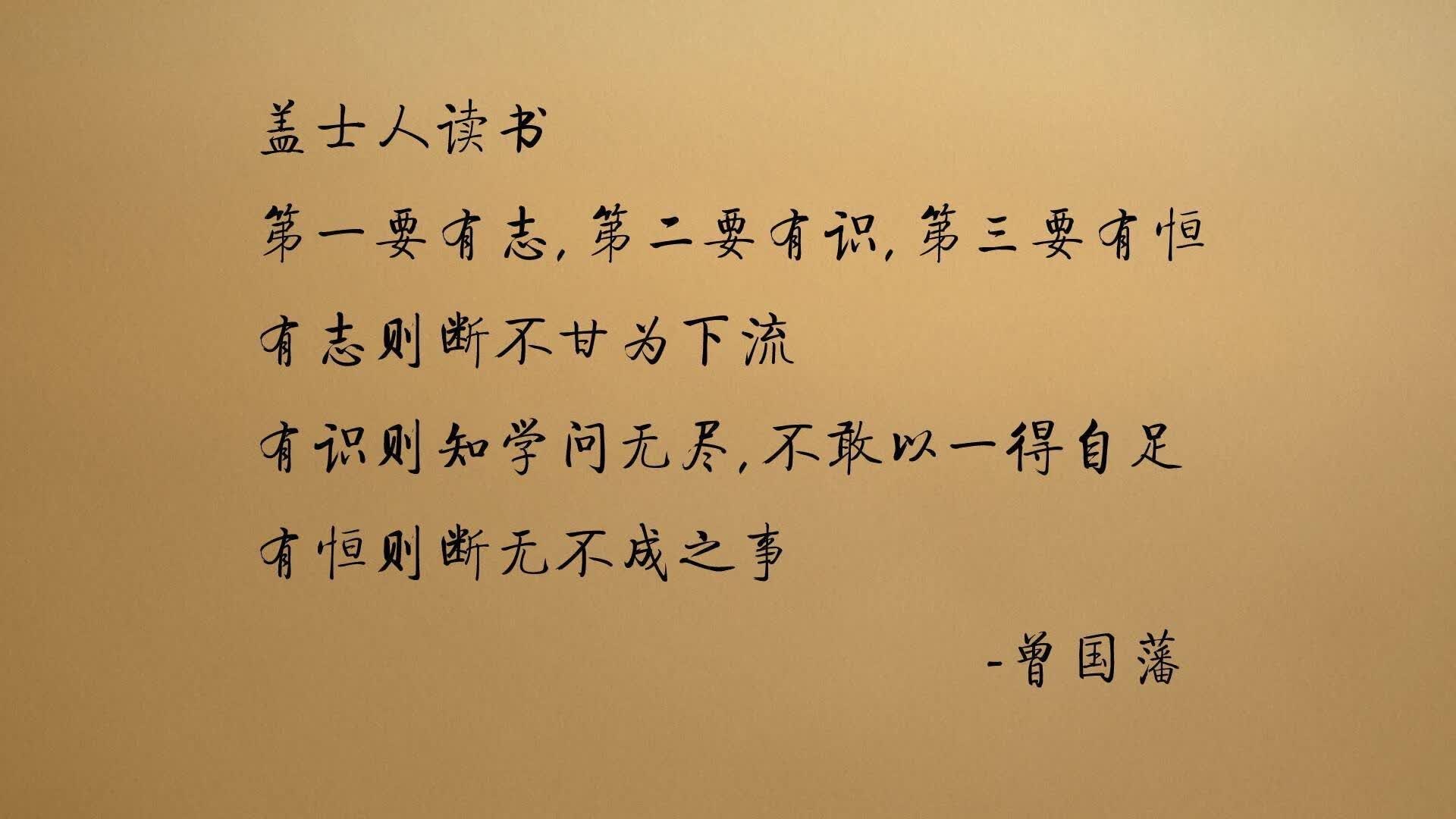 蓝武士的迷宫，巴雷拉如何用一把手术刀杀死2026世界杯F组的最大悬疑